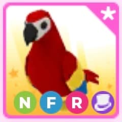 NFR parrot