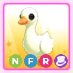NFR Goose