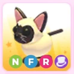 Siamese NFR